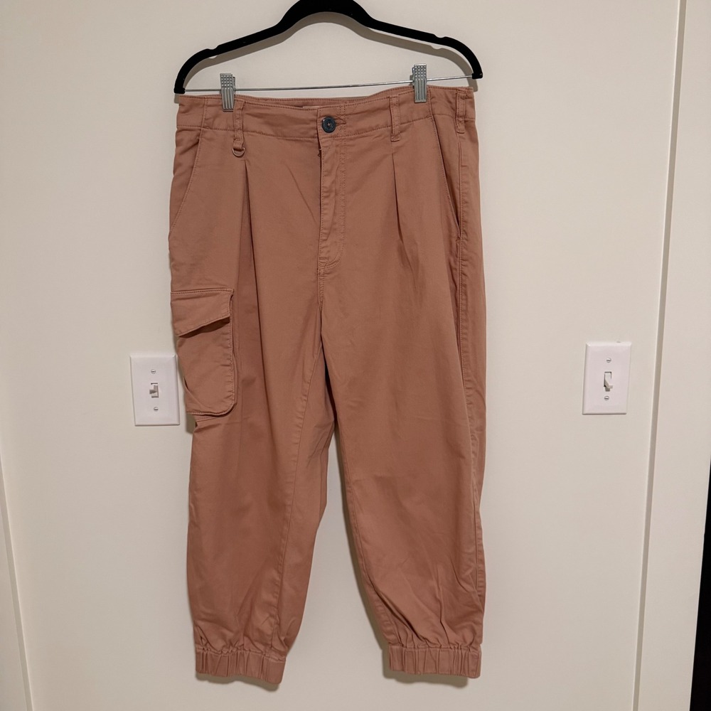 Pilcro Anthropologie Rose Pink Cargo Jogger Pants Pleated High Rise Utility 30